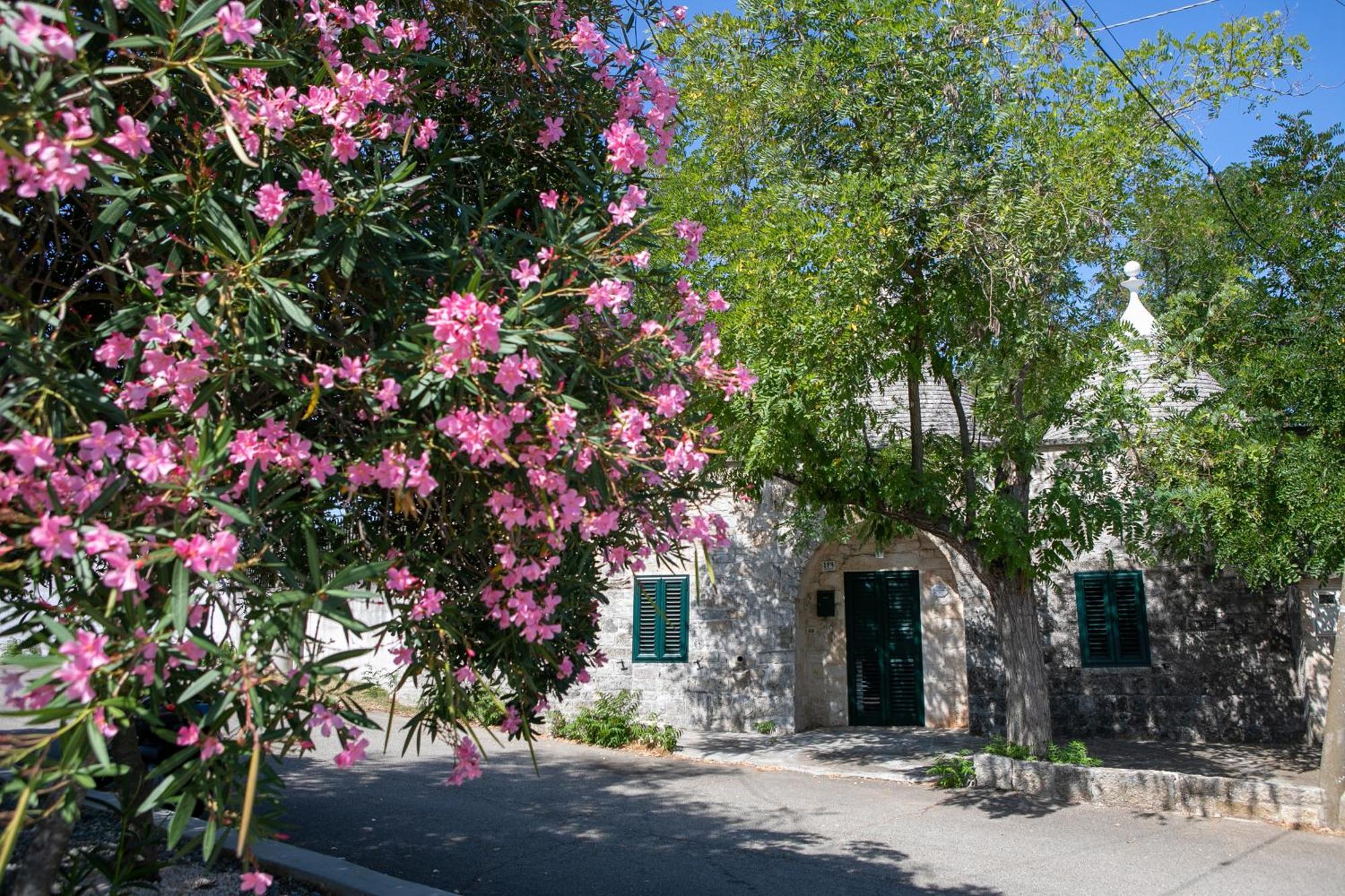 Angolo Di Puglia Locorotondo Eksteriør billede